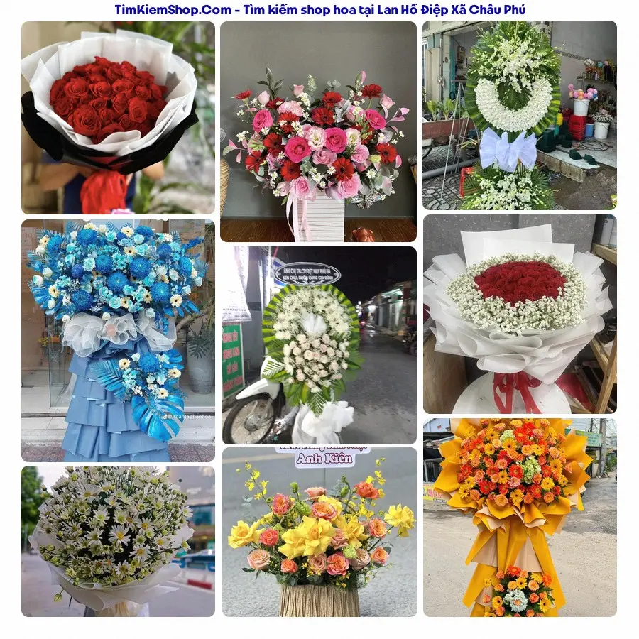 Shop Hoa Thương Flower - Shop Hoa Xã Châu Phú