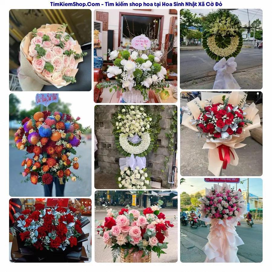 Shop Hoa Thương Flower - Shop Hoa Xã Cờ Đỏ