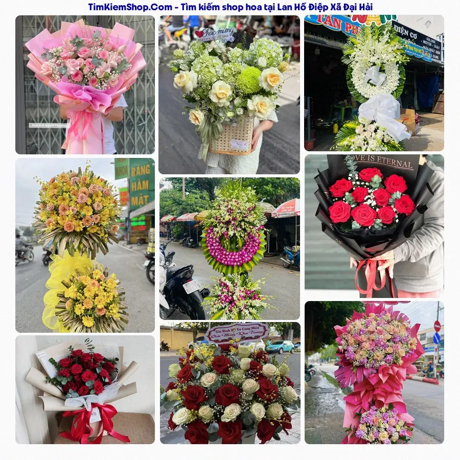 Shop Hoa Thương Flower - Shop Hoa Xã Đại Hải