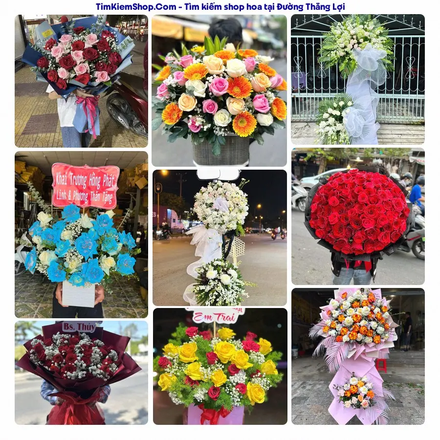 Shop Hoa Thương Flower - Shop Hoa Xã Đan Phượng