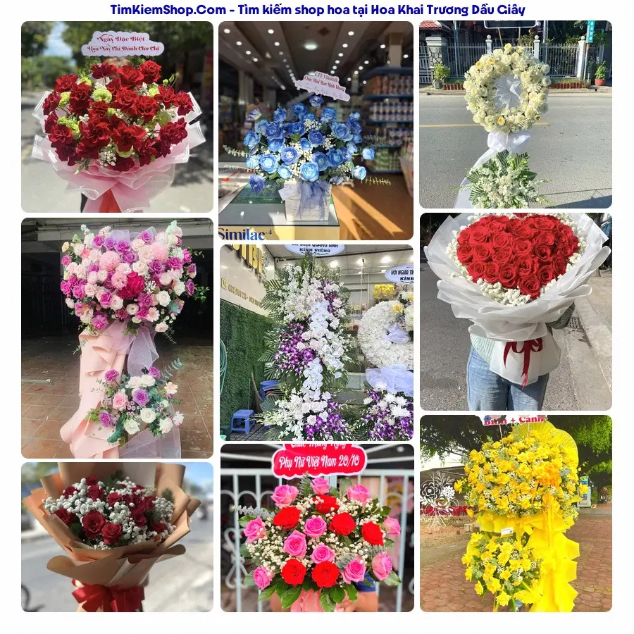 Shop Hoa Thương Flower - Shop Hoa Xã Dầu Giây