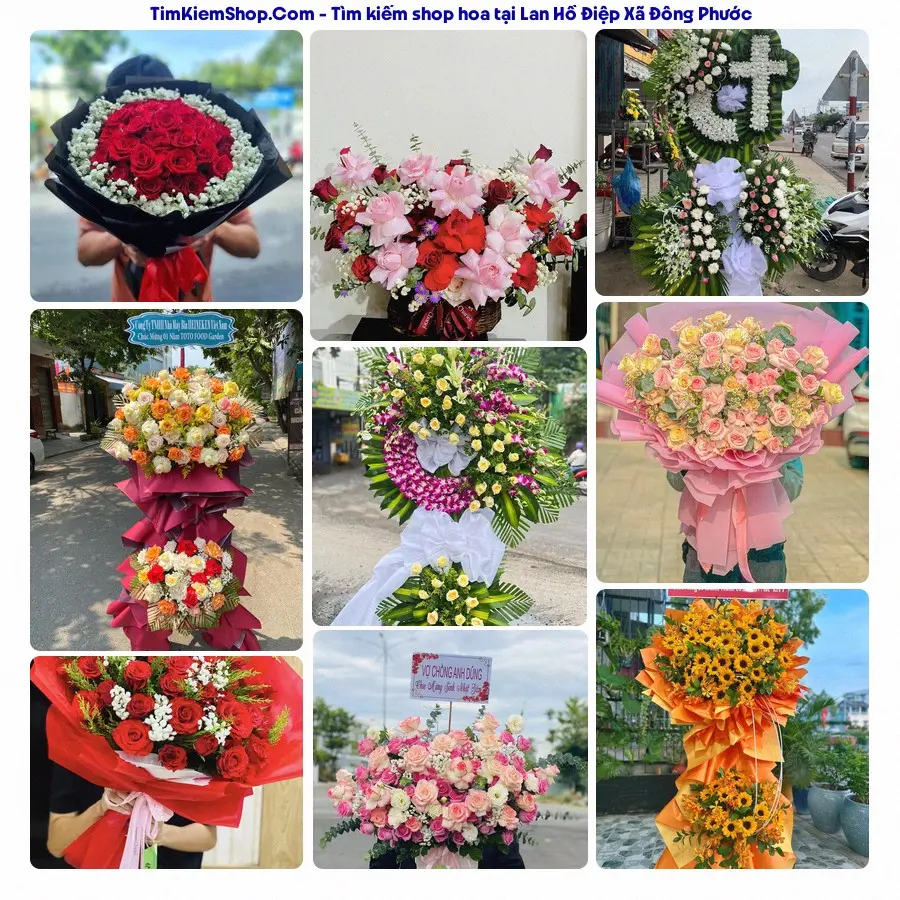 Shop Hoa Thương Flower - Shop Hoa Xã Đông Phước