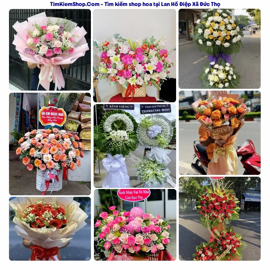 Shop Hoa Thương Flower - Shop Hoa Xã Đức Thọ