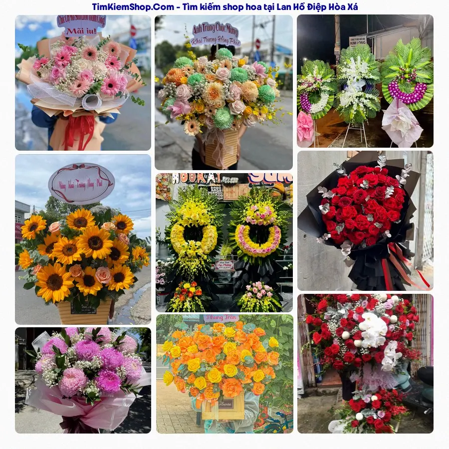 Shop Hoa Thương Flower - Shop Hoa Xã Hòa Xá