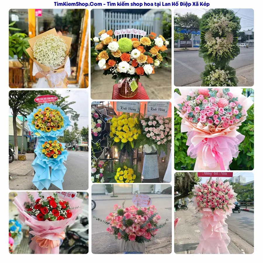 Shop Hoa Thương Flower - Shop Hoa Xã Kép