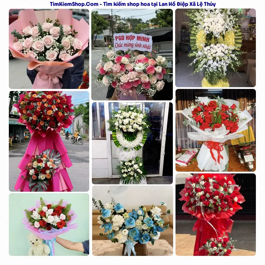Shop Hoa Thương Flower - Shop Hoa Xã Lệ Thủy