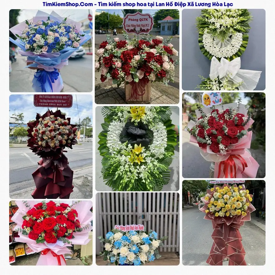Shop Hoa Thương Flower - Shop Hoa Xã Lương Hòa Lạc