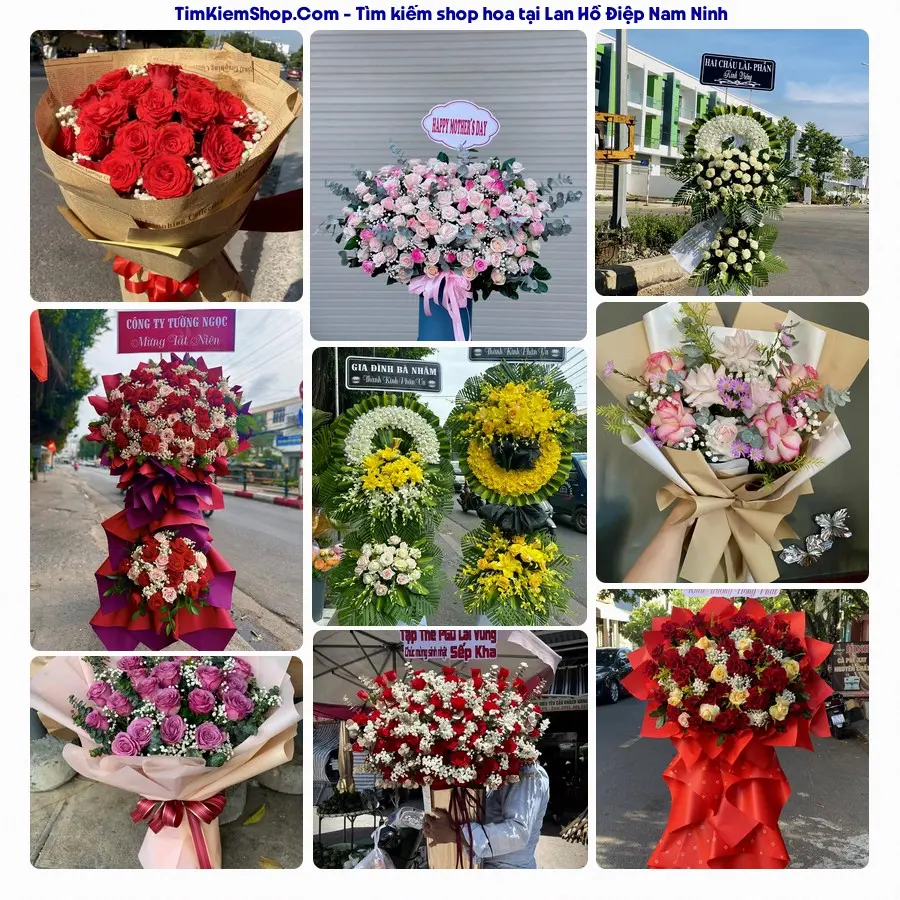 Shop Hoa Thương Flower - Shop Hoa Xã Nam Ninh