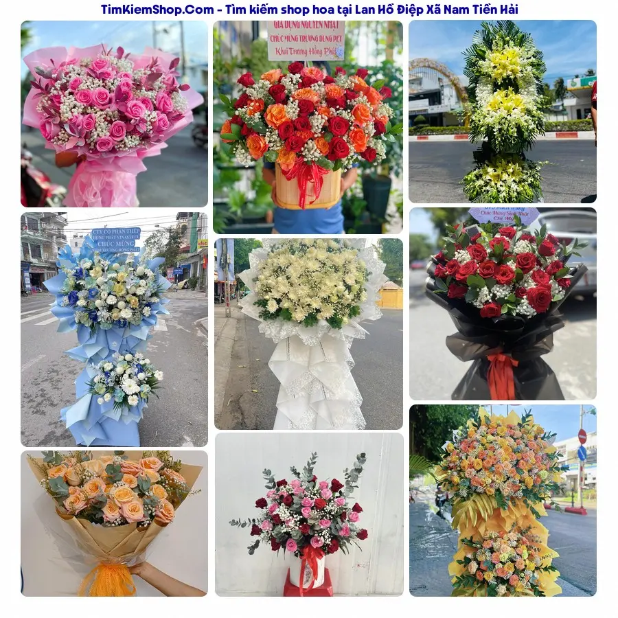 Shop Hoa Thương Flower - Shop Hoa Xã Nam Tiền Hải