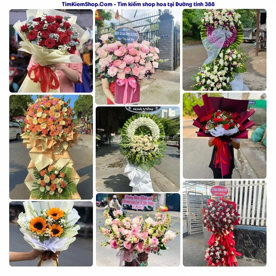 Shop Hoa Thương Flower - Shop Hoa Xã Như Quỳnh