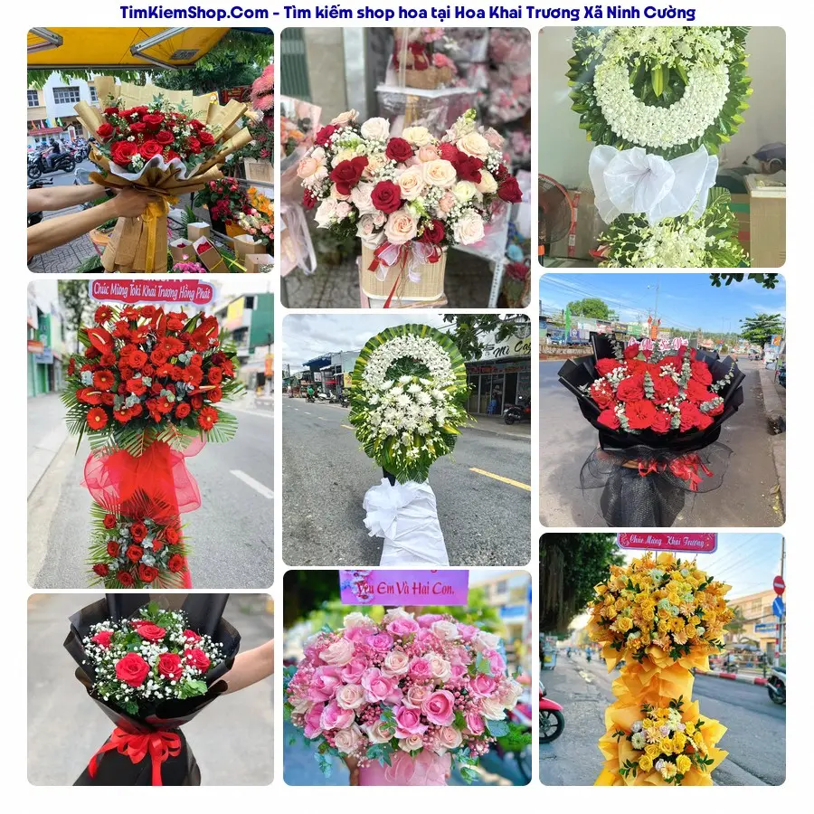 Shop Hoa Thương Flower - Shop Hoa Xã Ninh Cường