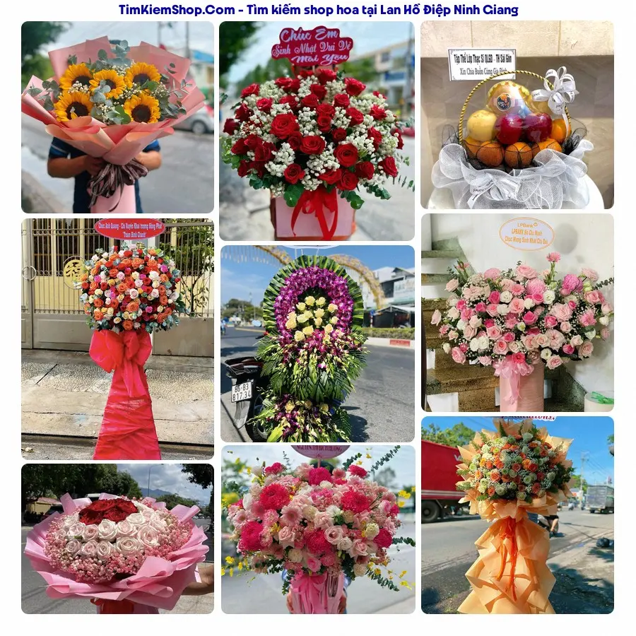 Shop Hoa Thương Flower - Shop Hoa Xã Ninh Giang