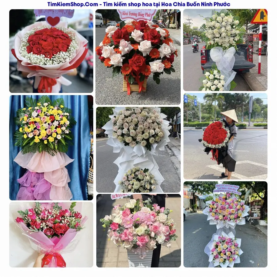 Shop Hoa Thương Flower - Shop Hoa Xã Ninh Phước