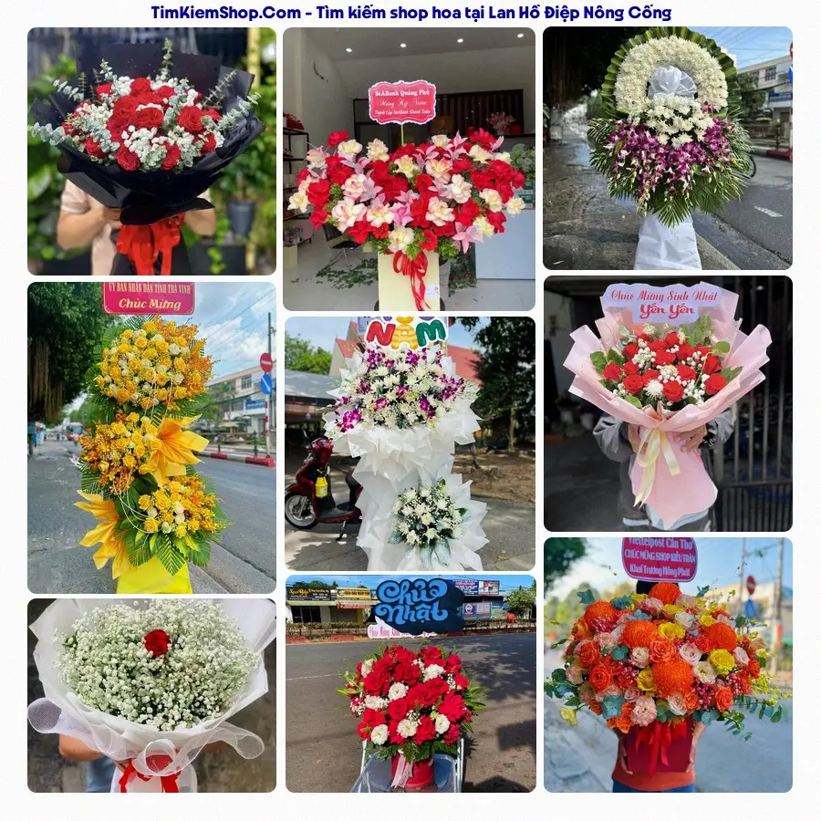 Shop Hoa Thương Flower - Shop Hoa Xã Nông Cống