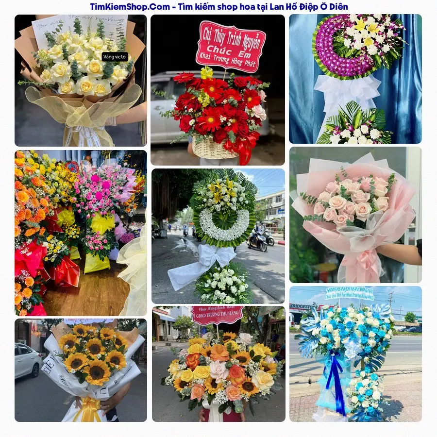 Shop Hoa Thương Flower - Shop Hoa Xã Ô Diên