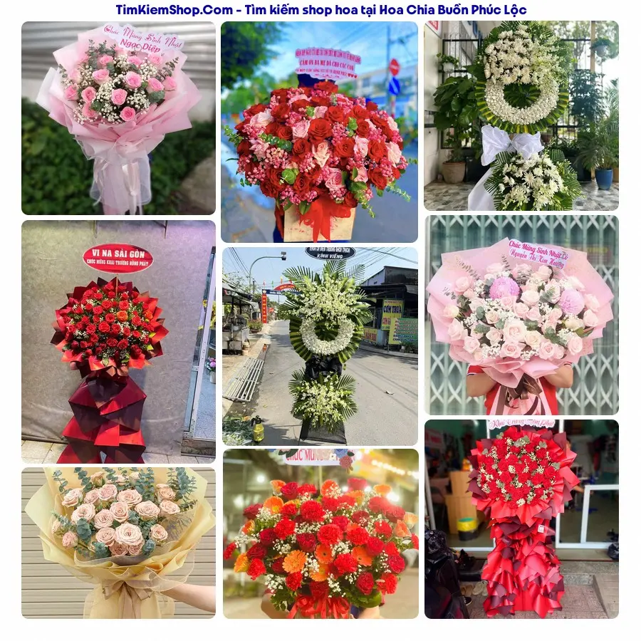 Shop Hoa Thương Flower - Shop Hoa Xã Phúc Lộc