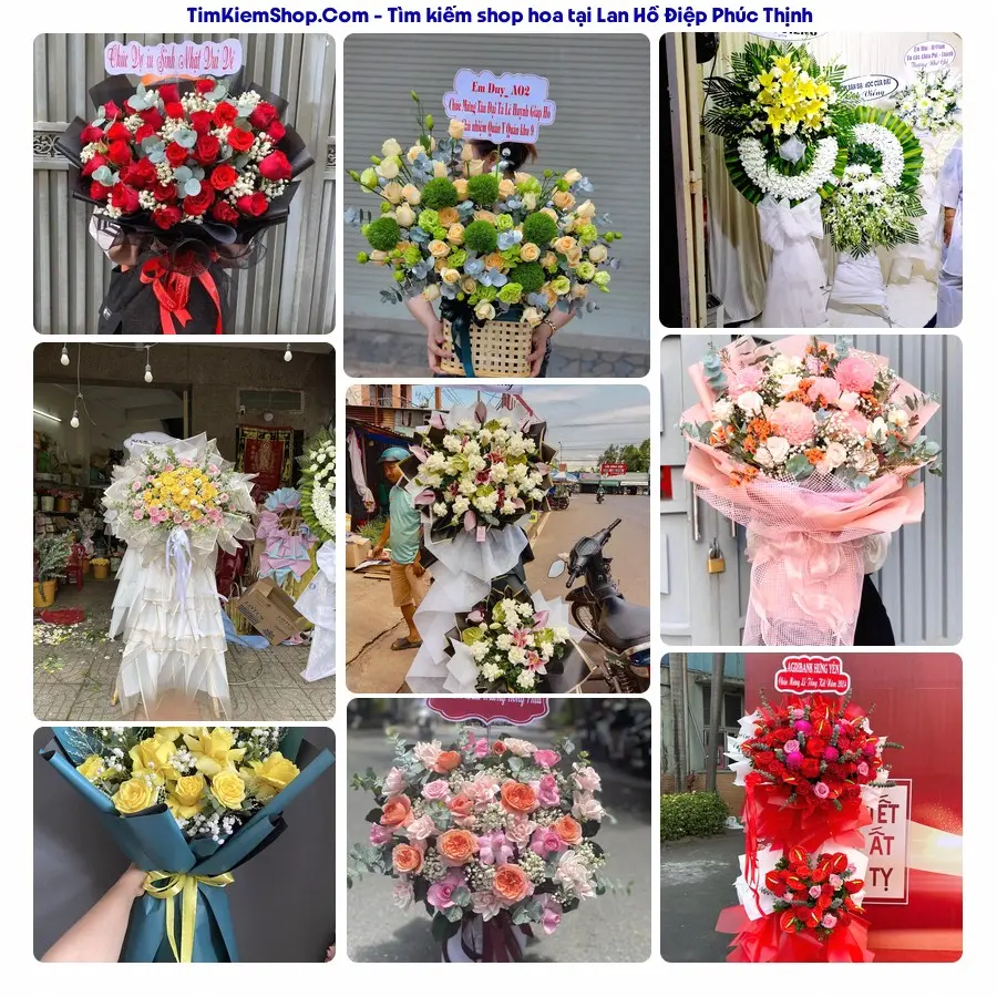 Shop Hoa Thương Flower - Shop Hoa Xã Phúc Thịnh
