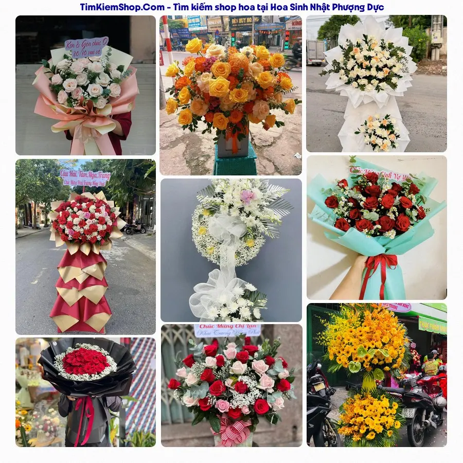 Shop Hoa Thương Flower - Shop Hoa Xã Phượng Dực