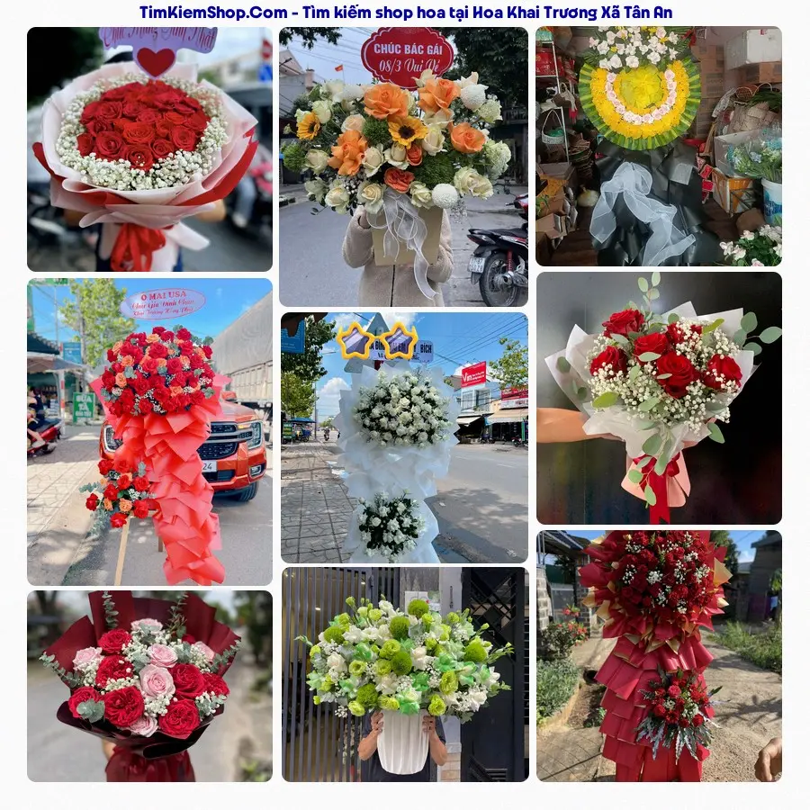 Shop Hoa Thương Flower - Shop Hoa Xã Tân An
