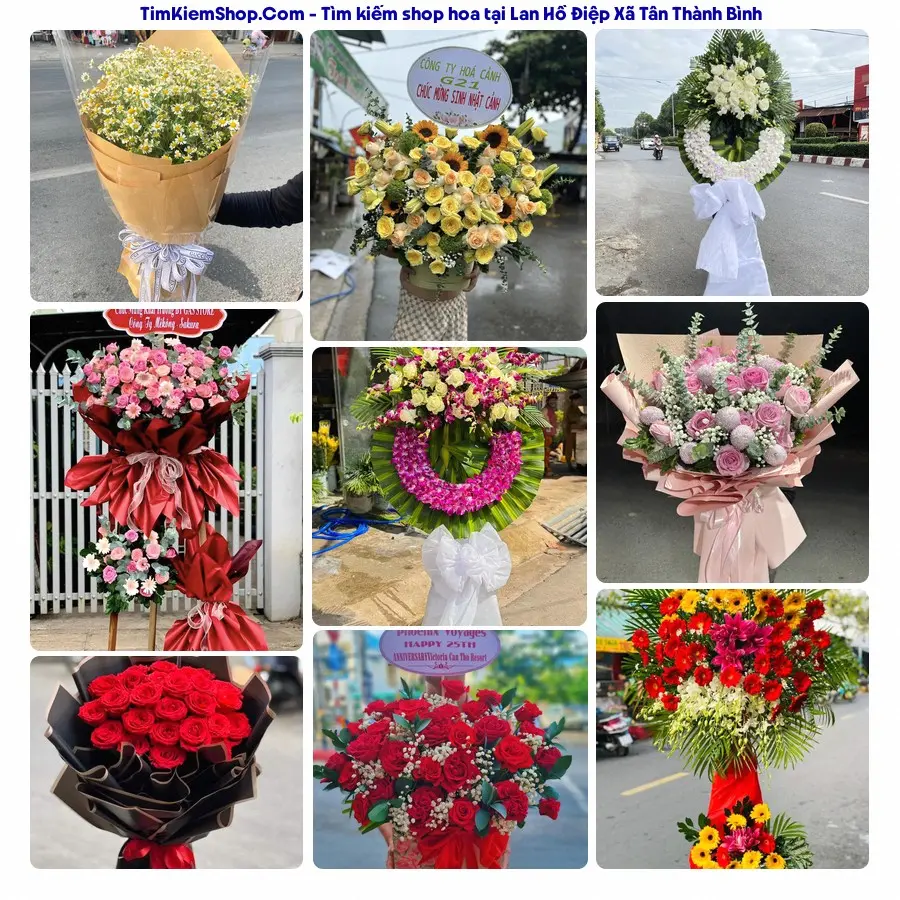 Shop Hoa Thương Flower - Shop Hoa Xã Tân Thành Bình