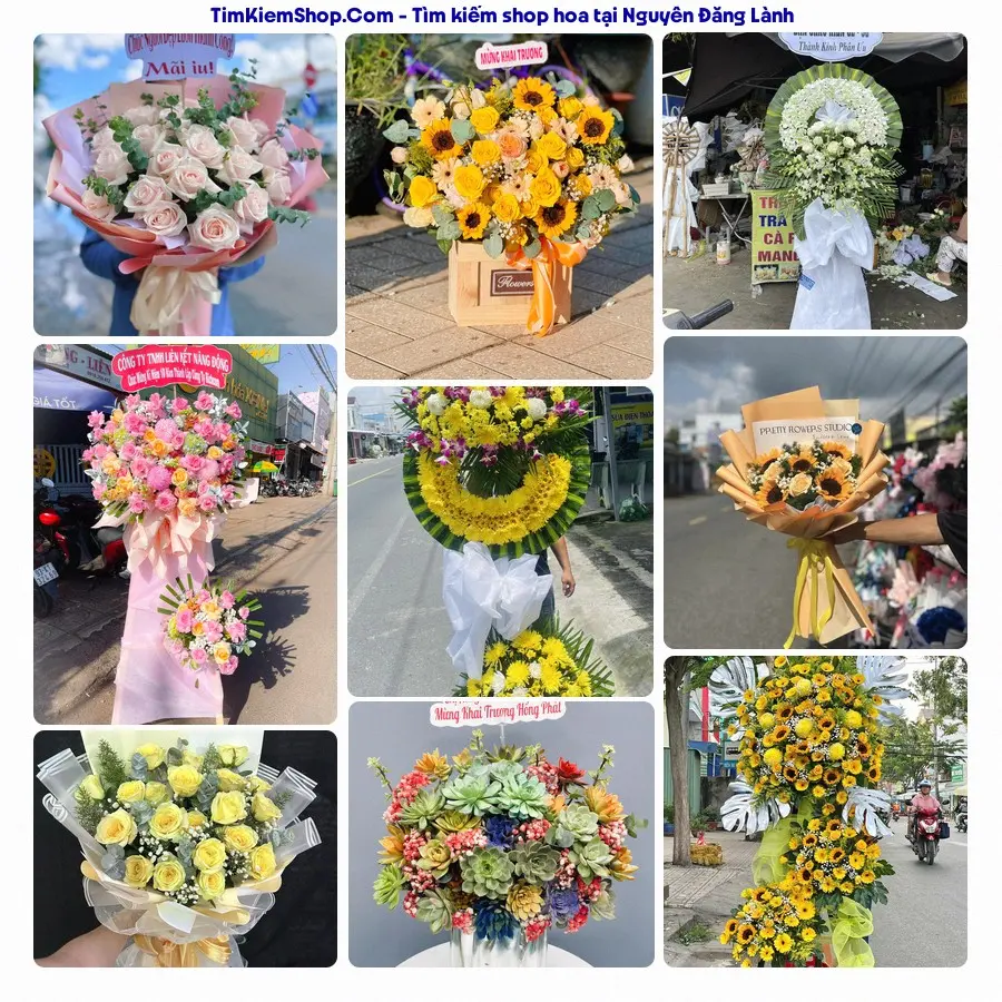 Shop Hoa Thương Flower - Shop Hoa Xã Trần Phú
