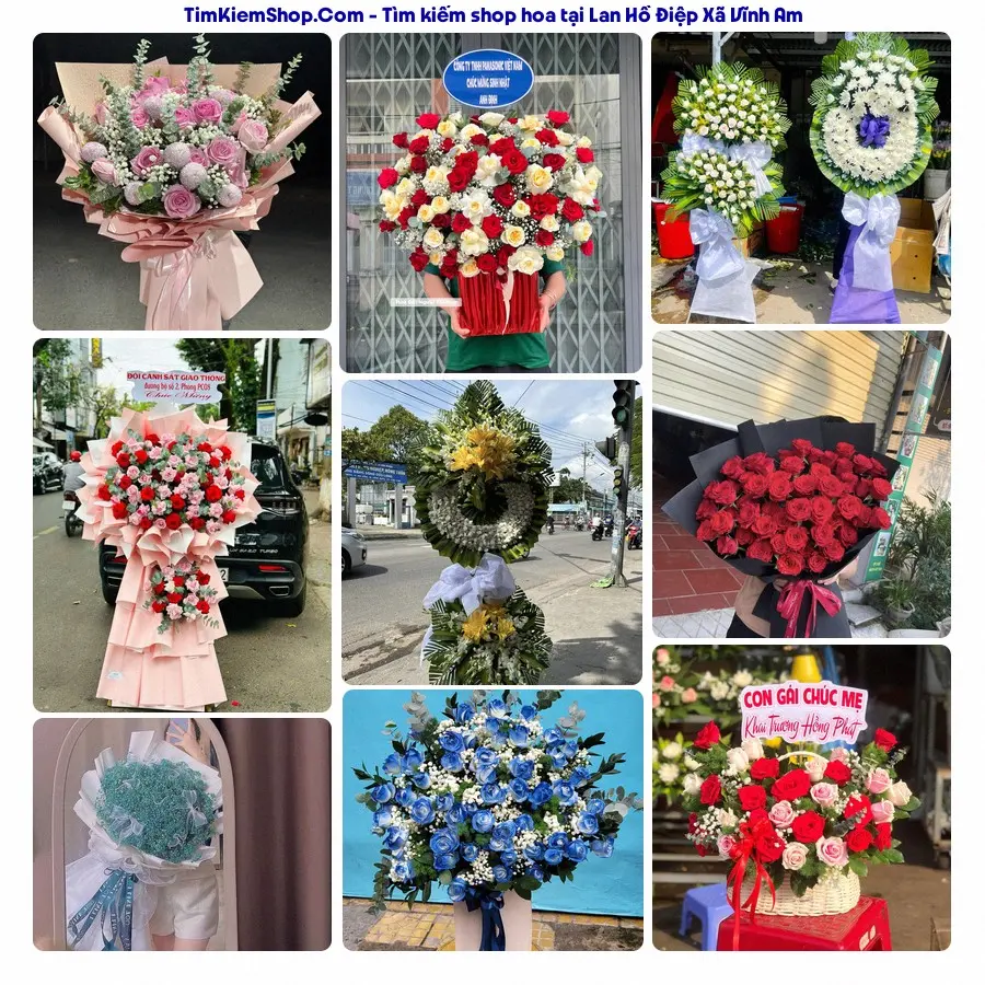 Shop Hoa Thương Flower - Shop Hoa Xã Vĩnh Am