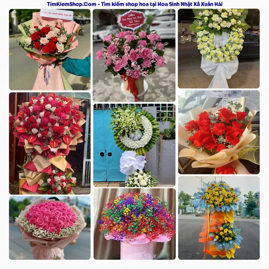 Shop Hoa Thương Flower - Shop Hoa Xã Xuân Hải