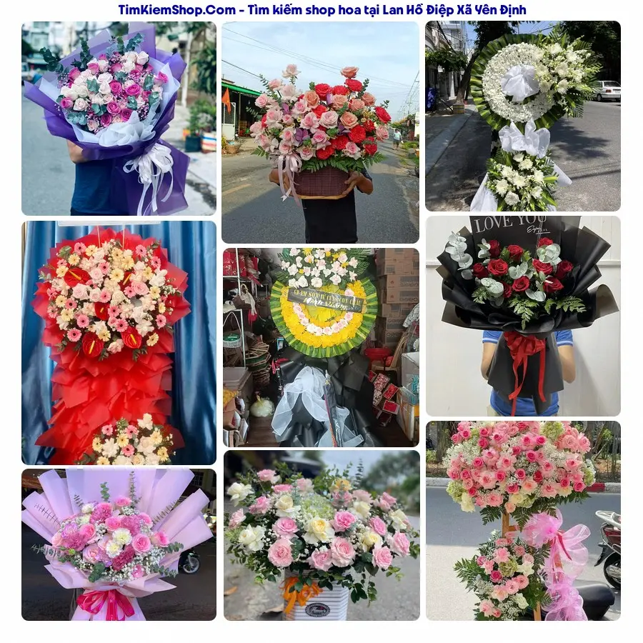 Shop Hoa Thương Flower - Shop Hoa Xã Yên Định