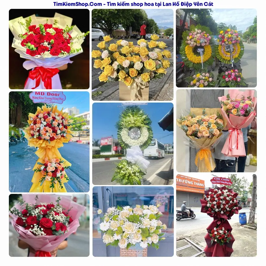 Shop Hoa Thương Flower - Shop Hoa Yên Cát