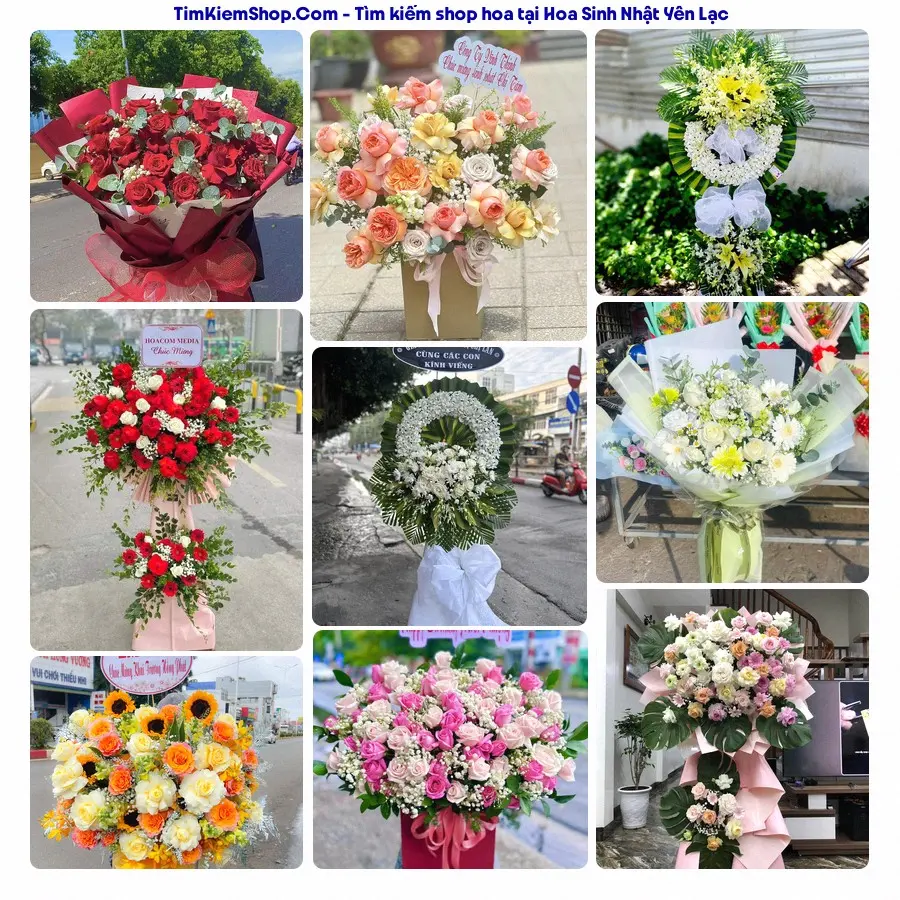 Shop Hoa Thương Flower - Shop Hoa Yên Lạc
