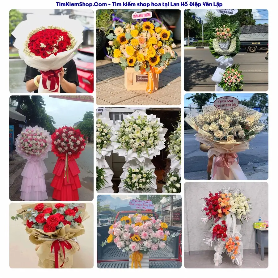 Shop Hoa Thương Flower - Shop Hoa Yên Lập