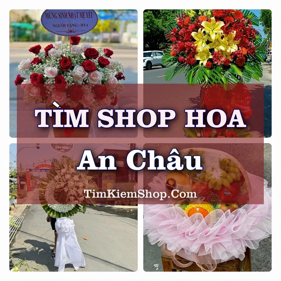 Tìm Shop Hoa Tươi tại An Châu (Cũ)