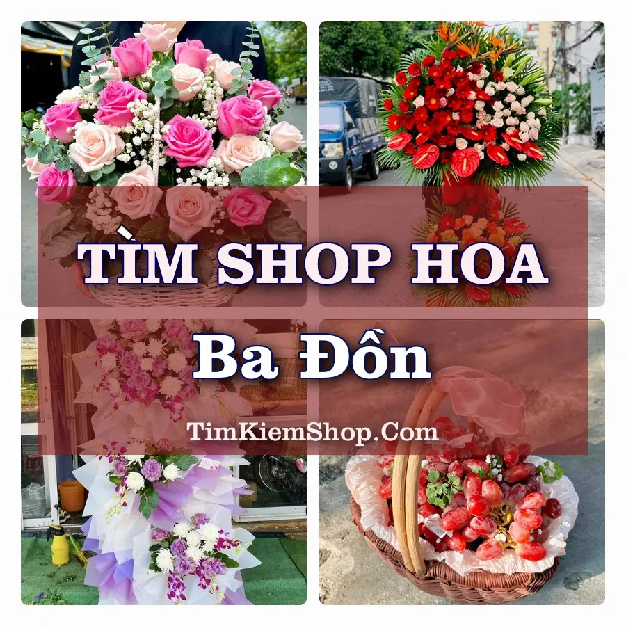 Tìm Shop Hoa Tươi tại Ba Đồn (Cũ)
