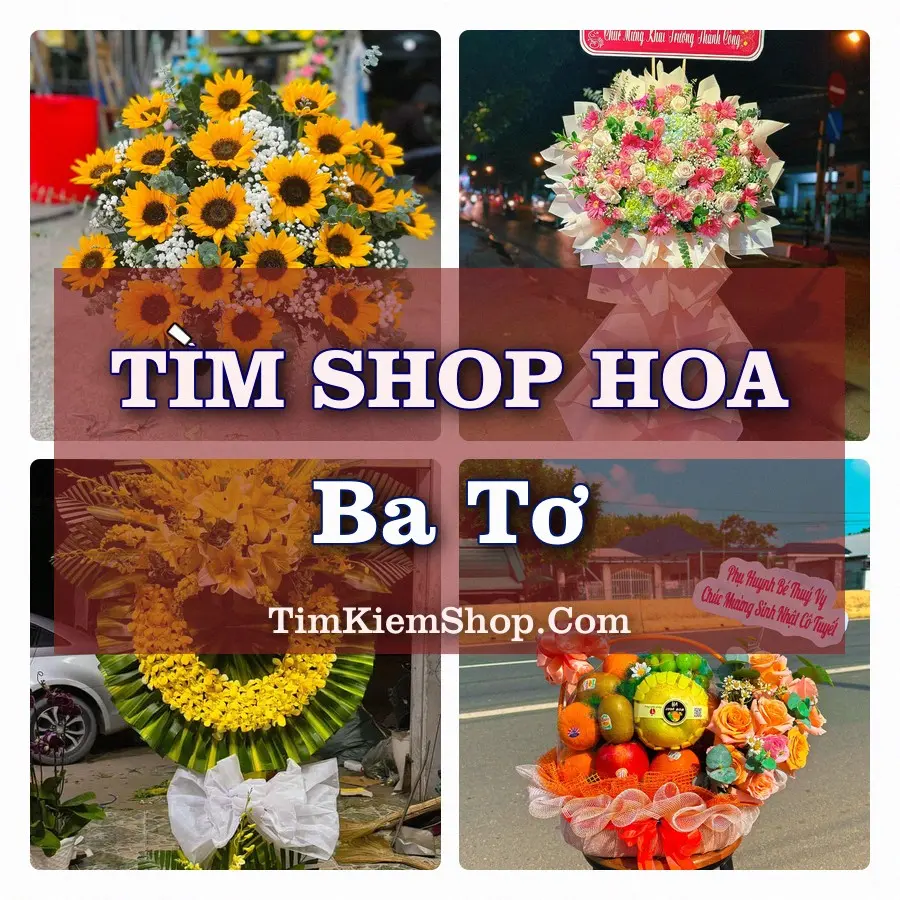 Tìm Shop Hoa Tươi tại Ba Tơ, Tỉnh Quảng Ngãi