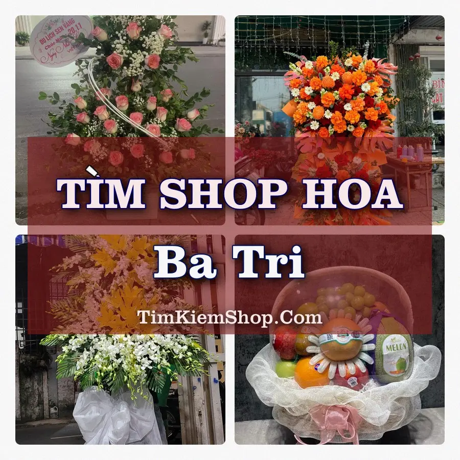 Tìm Shop Hoa Tươi tại Ba Tri (Cũ)