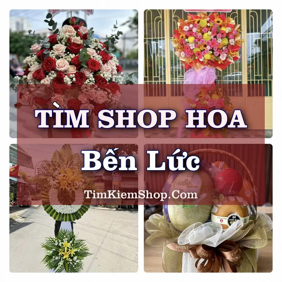 Tìm Shop Hoa Tươi tại Bến Lức (Cũ)