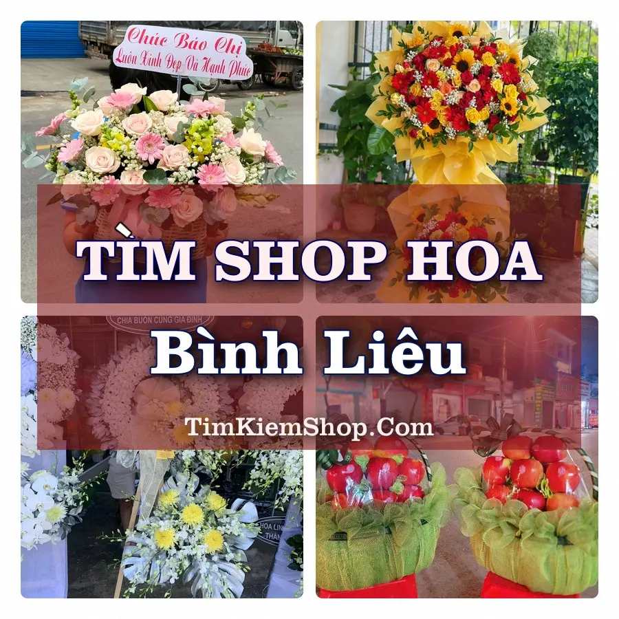 Tìm Shop Hoa Tươi tại Bình Liêu, Tỉnh Quảng Ninh