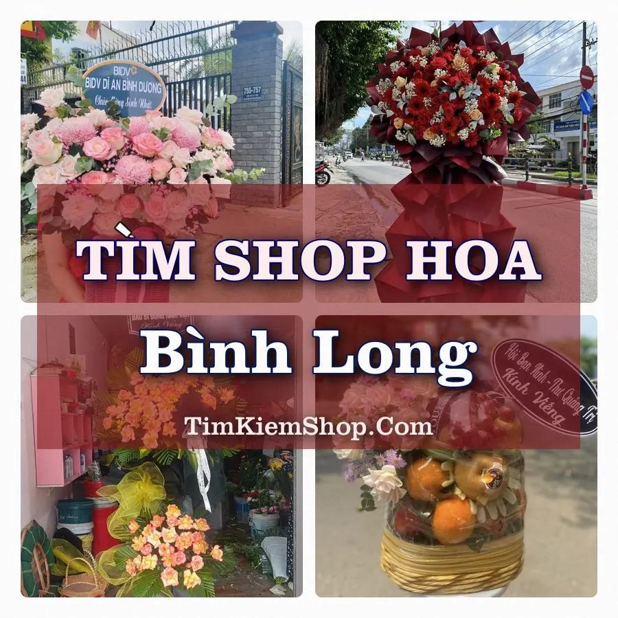 Tìm Shop Hoa Tươi tại Bình Long (Cũ)