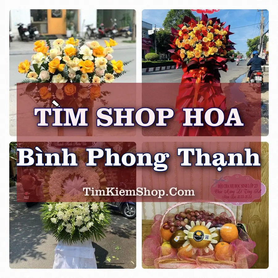 Tìm Shop Hoa Tươi tại Bình Phong Thạnh (Cũ)