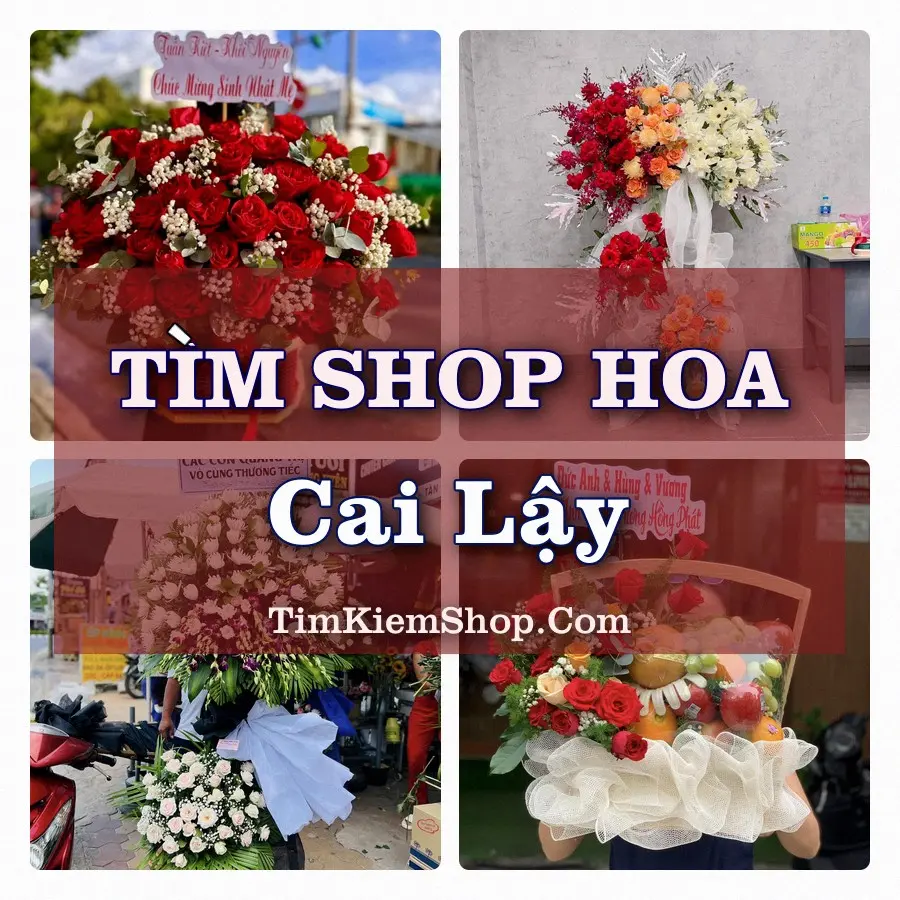 Tìm Shop Hoa Tươi tại Cai Lậy (Cũ)