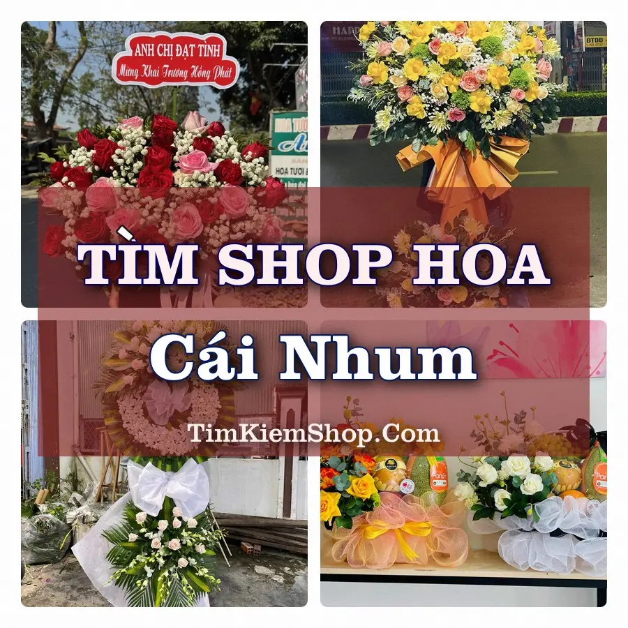 Tìm Shop Hoa Tươi tại Cái Nhum (Cũ)