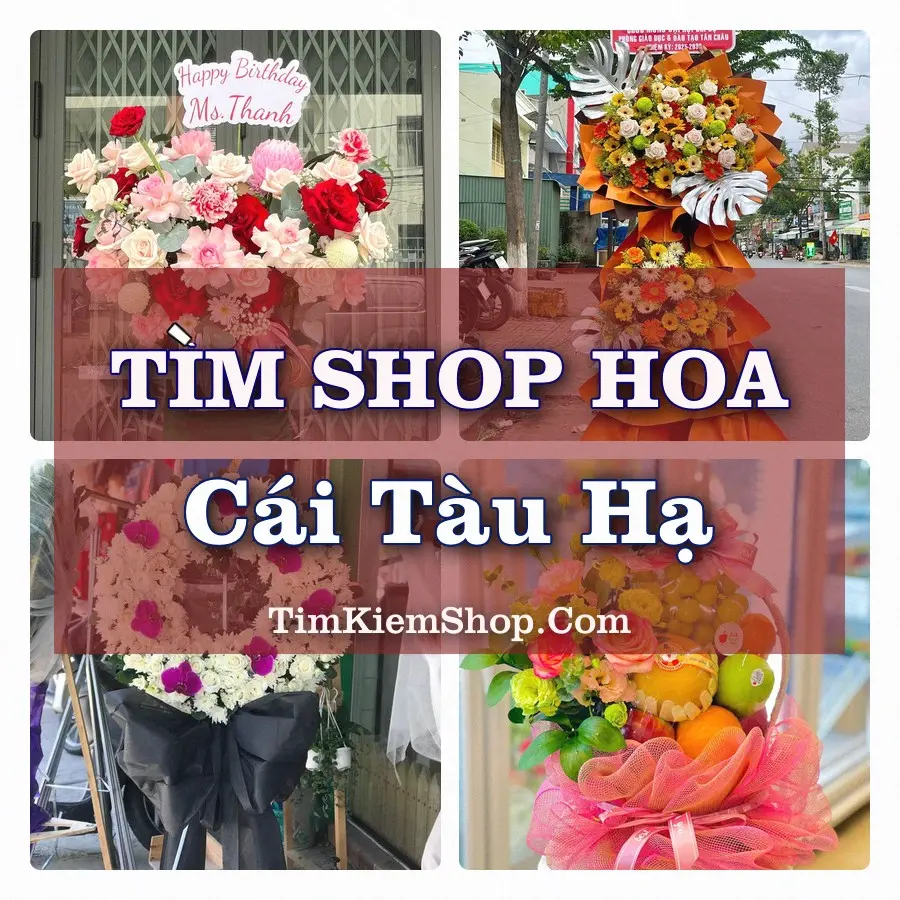 Tìm Shop Hoa Tươi tại Cái Tàu Hạ (Cũ)