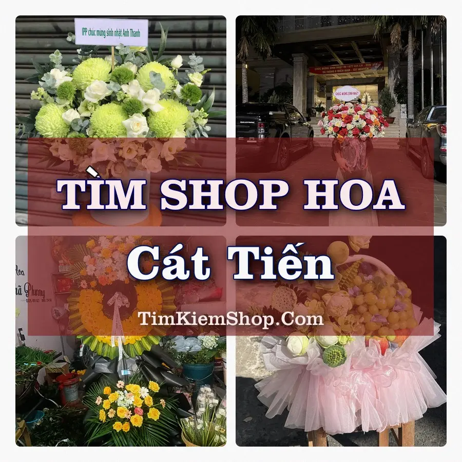 Tìm Shop Hoa Tươi tại Cát Tiến, Tỉnh Gia Lai