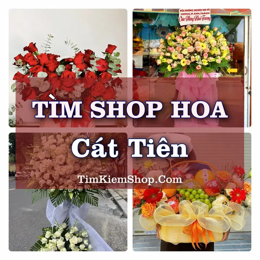 Tìm Shop Hoa Tươi tại Cát Tiên (Cũ)
