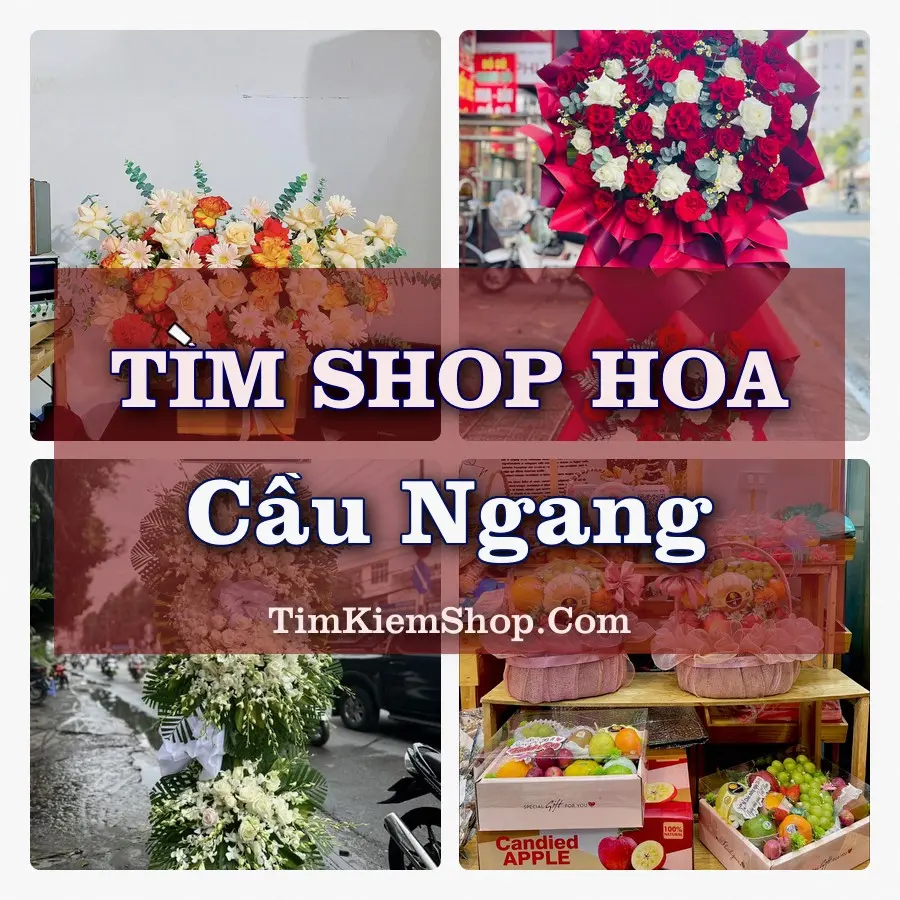 Tìm Shop Hoa Tươi tại Cầu Ngang (Cũ)