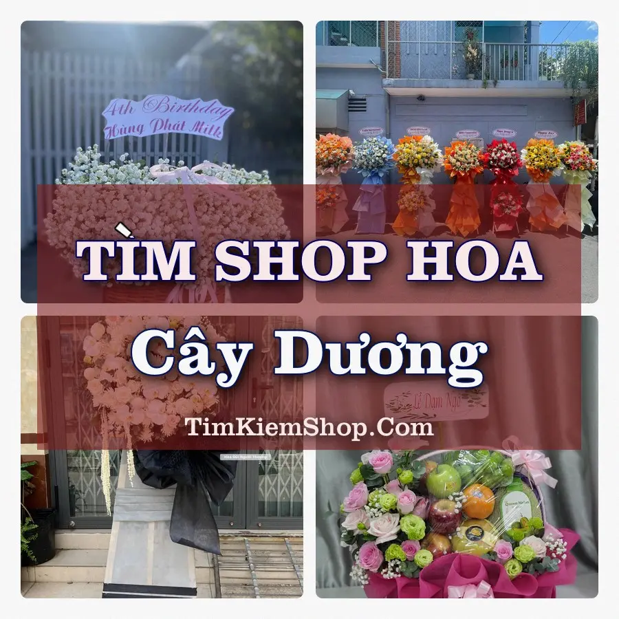 Tìm Shop Hoa Tươi tại Cây Dương (Cũ)