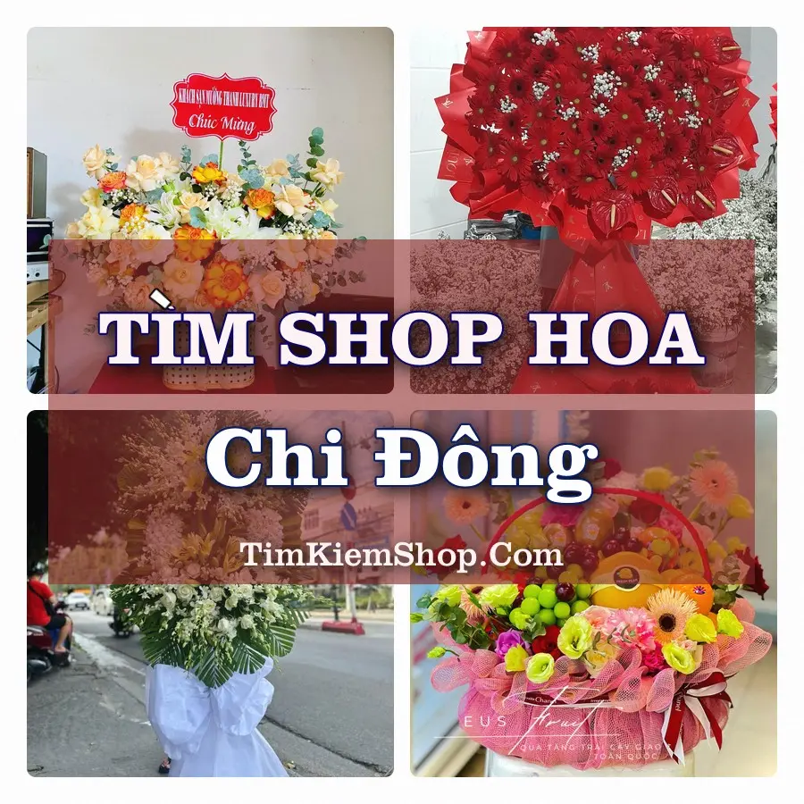 Tìm Shop Hoa Tươi tại Chi Đông, Thành phố Hà Nội