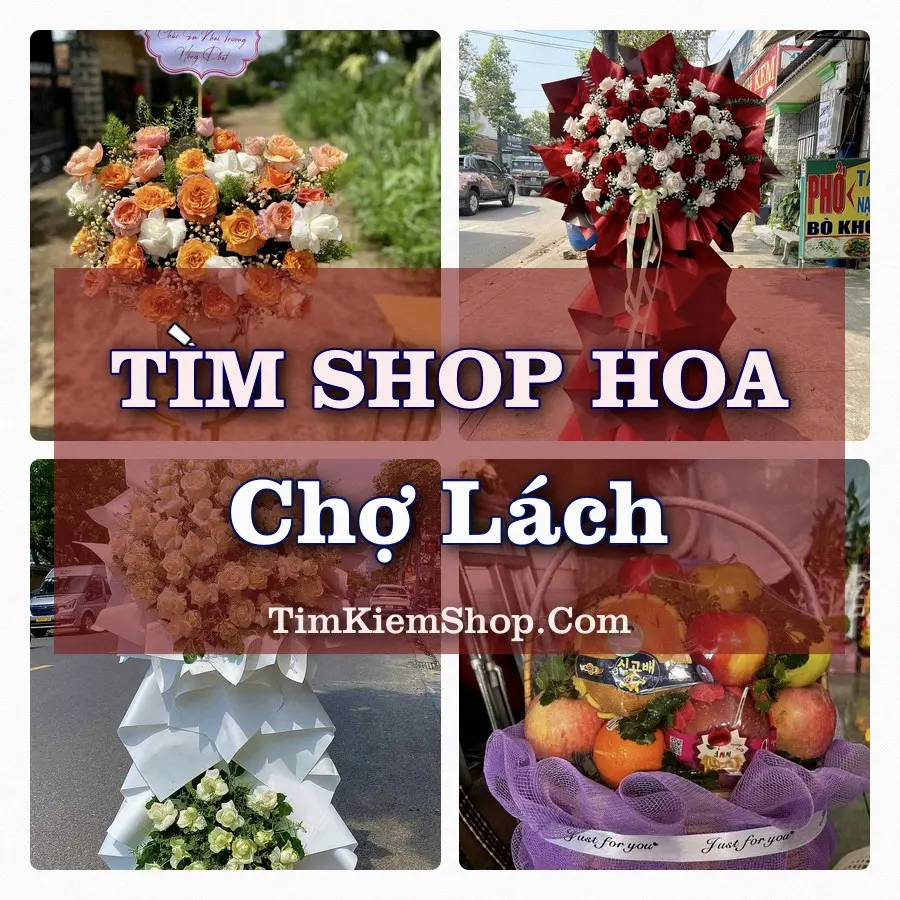 Tìm Shop Hoa Tươi tại Chợ Lách (Cũ)