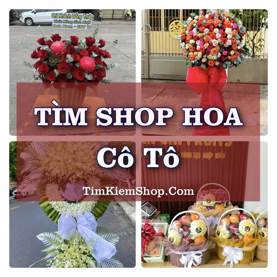 Tìm Shop Hoa Tươi tại Cô Tô (Cũ)
