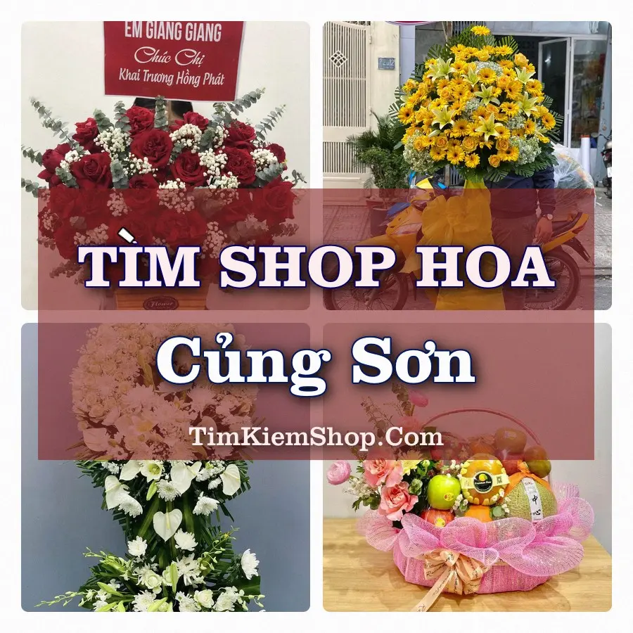 Tìm Shop Hoa Tươi tại Củng Sơn, Tỉnh Đắk Lắk